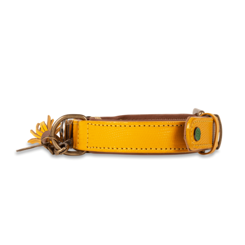 Collier pour chien New York Yankee jaune - Dog with a Mission