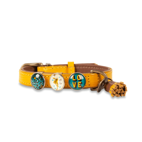 Collier pour chien New York Yankee jaune - Dog with a Mission