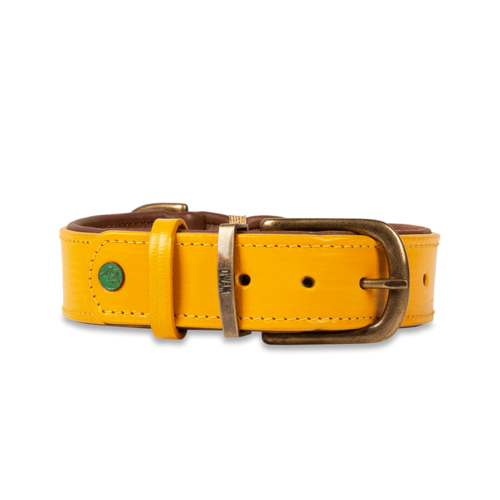 New York Yankee Yellow Dog Collar - Dog with a Mission