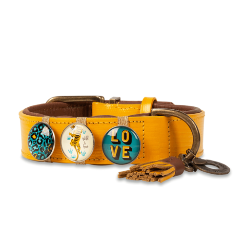 Collier pour chien New York Yankee jaune - Dog with a Mission