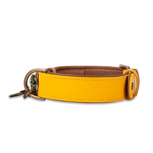 New York Yankee Yellow Dog Collar - Dog with a Mission