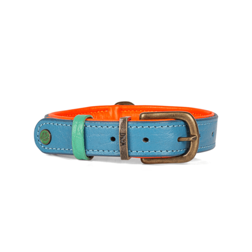 Jones Blue Dog Collar - Dog with a Mission