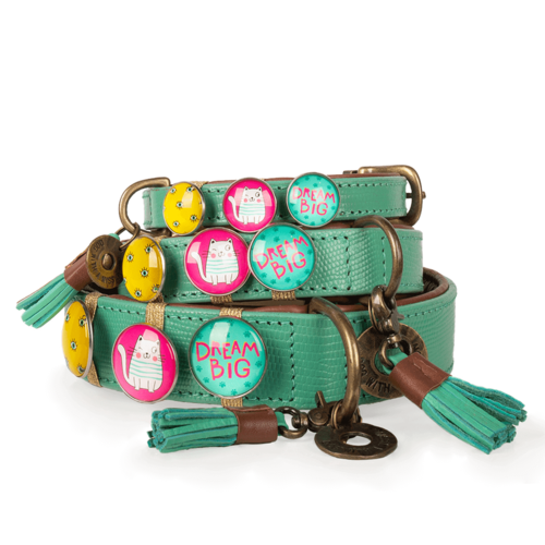 Turquoise California Dreaming Dog Collar - Dog with a Mission