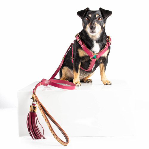 Lou Lou Dog Harness