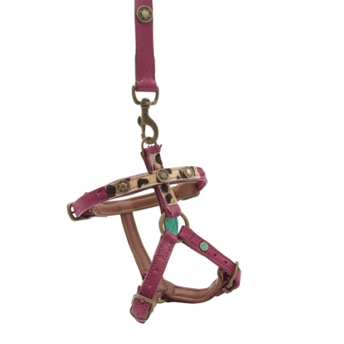 Lou Lou Dog Harness