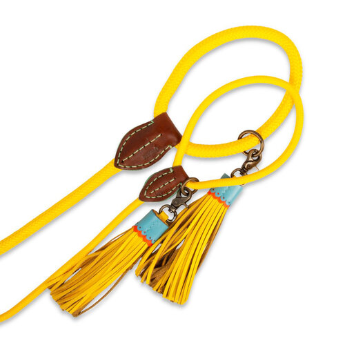 Sunny Dog Leash