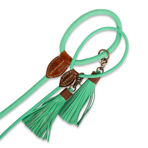 Jade turquoise dog leash