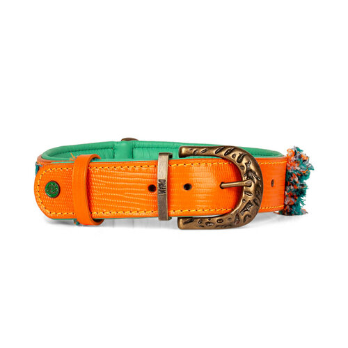 Stoere Oranje Hondenhalsband Morgan - Dog with a Mission