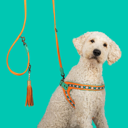 Pippi Dog Leash: Handmade, Adjustable & Charity Support