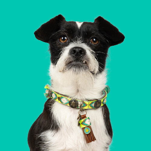 "Ranger" Boho-Chic Dog Collar: Bright Yellow with Green & Brown Accents