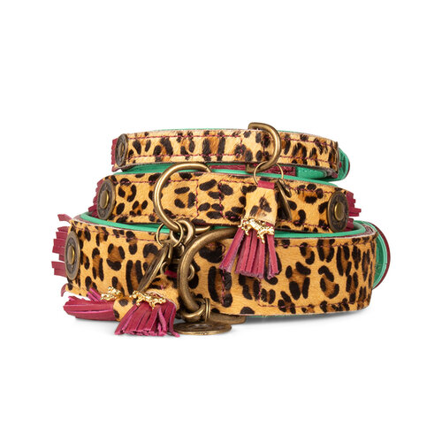 Lou Lou halsband met stoere luipaard print - Dog with a Mission