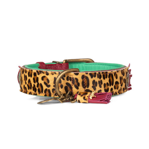 Lou Lou halsband met stoere luipaard print - Dog with a Mission