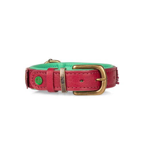 Lou Lou halsband met stoere luipaard print - Dog with a Mission