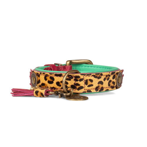 Lou Lou halsband met stoere luipaard print - Dog with a Mission