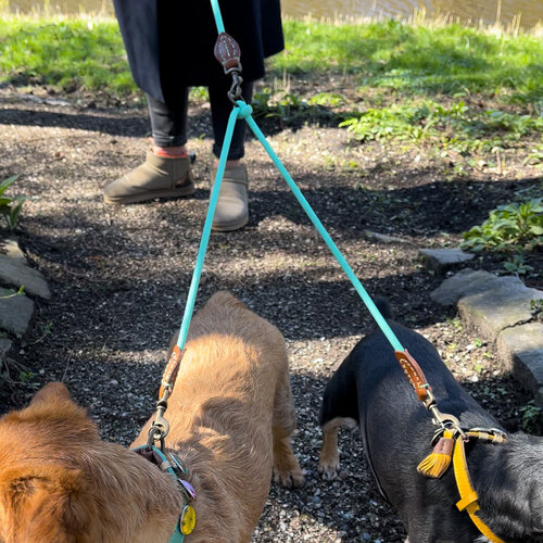 Laat gemakkelijk twee honden uit met deze  splitter