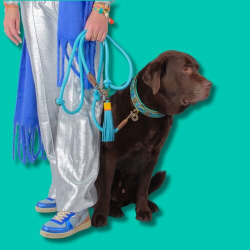 Blues Dog Leash