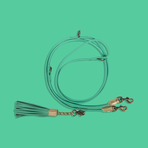 EXTRA LONG RICH TURQUOISE DOG LEASH