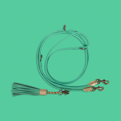 Extra Long Rich Turquoise Dog Leash