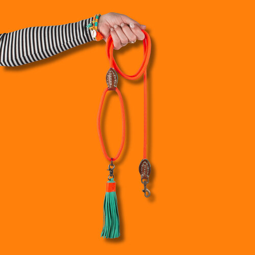 CLASSIC CARROT CAKE DOG LEASH