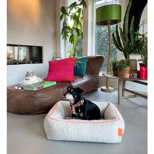 Ecru Teddy Dog Bed Ibiza Dream for Long Dreams!