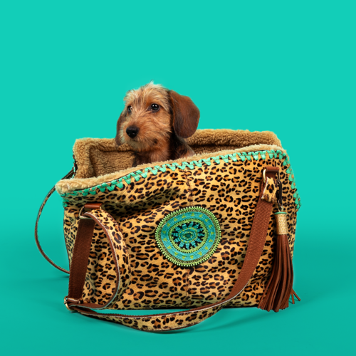 The Ultimate Travel Companion for Your Small Furry Friend!