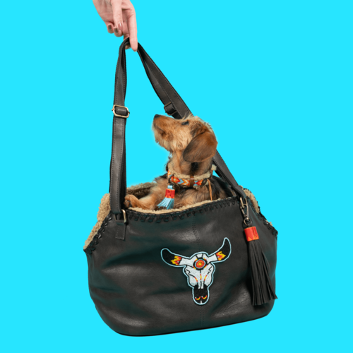 BANDIT DOG BAG