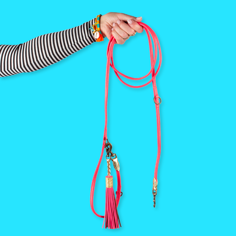 Extra Long Pretty Pink Dog Leash 