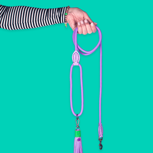 Hip purple rope leash Purple Rain