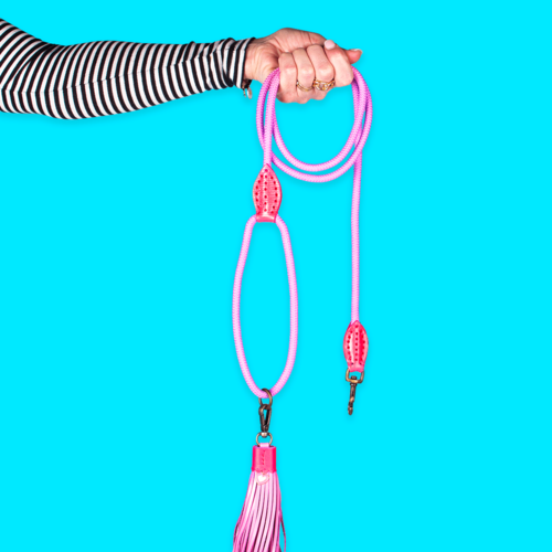Pastel Pink Rope Dog Leash: Perfect Match for Sweety Collar & Harness