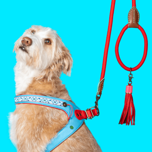 DUTCHIE DOG HARNESS