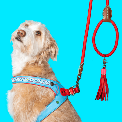 Dutchie Handmade Step-In Dog Harness