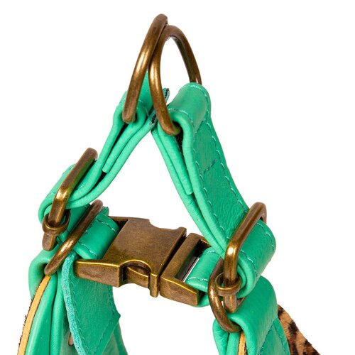 Trend Alert: 'Posh' Leopard Step-In Harness - Where Chic Meets Comfort