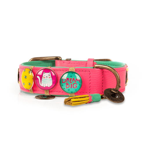 Decorate your DWAM collar with the Dwammies!