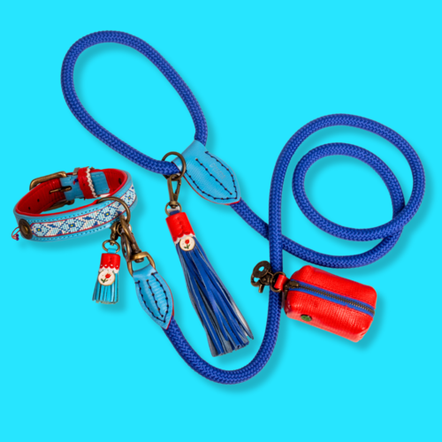 Bronx, the poop bag holder in red leather. Super cute match with the Dutchie collar!