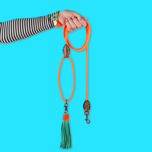 CLASSIC CARROT CAKE DOG LEASH