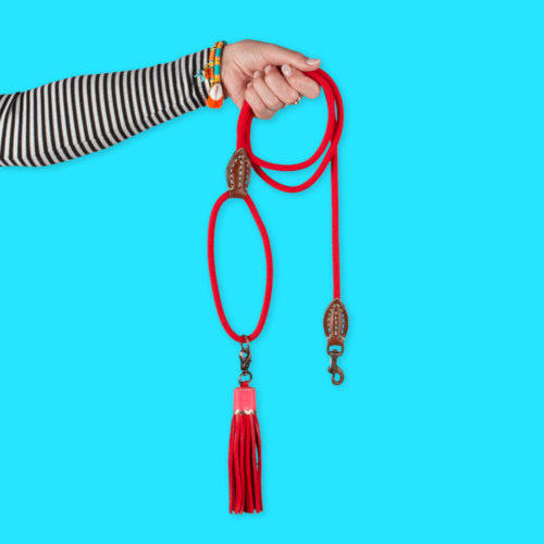 CLASSIC RED VELVET DOG LEASH