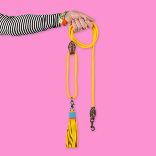 CLASSIC SUNNY DOG LEASH