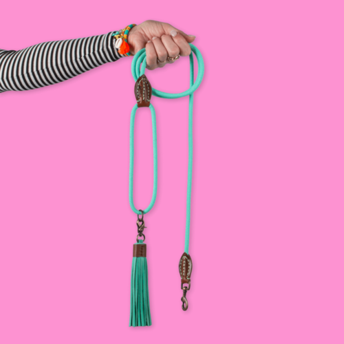 Jade turquoise dog leash