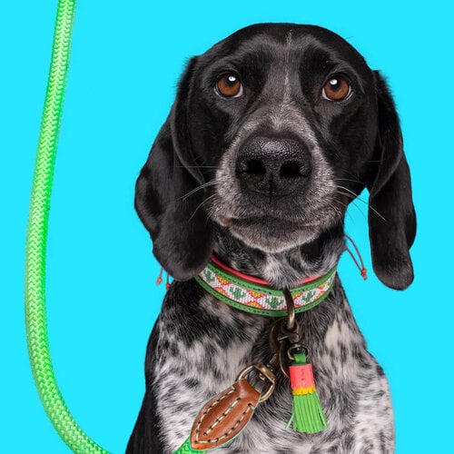 Groene Tropical Summer Hondenhalsband met Kralen - Dog with a Mission