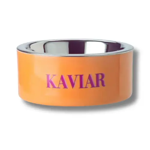 LOVE PETS BOWL S KAVIAR NEON ORANGE