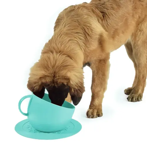 Feeding And/Or Water Bowl Set With Non-Slip Mat In Turquoise