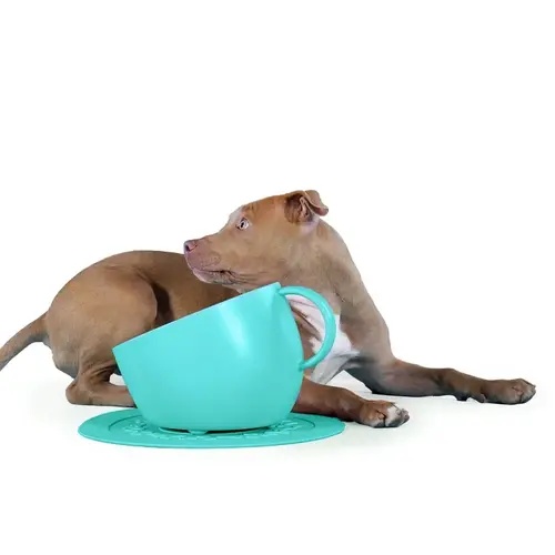 Feeding And/Or Water Bowl Set With Non-Slip Mat In Turquoise