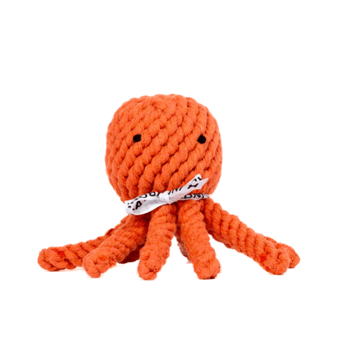 Thaddaus Squid dog toy