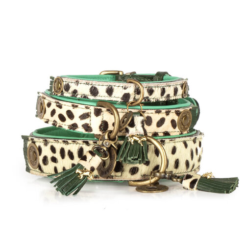 Ivy dog collar with animal print - Dog with a Mission