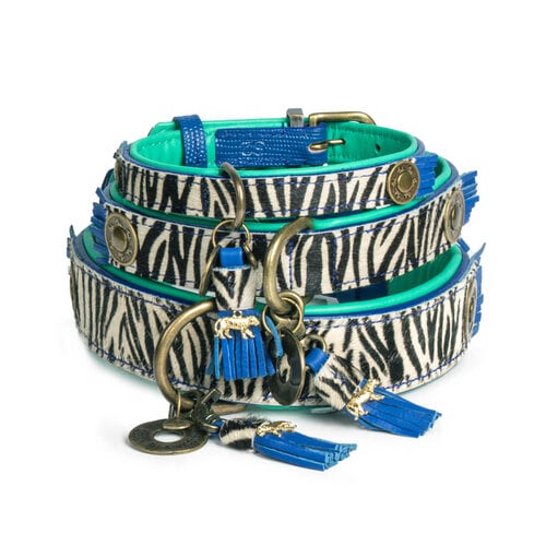 Dandy hondenhalsband - Kobaltblauw en Zebra-print