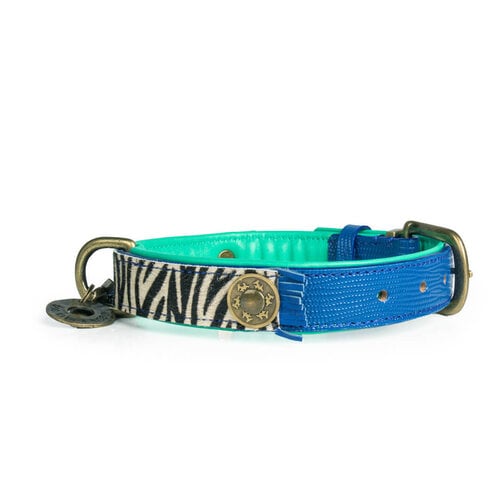 Dandy hondenhalsband - Kobaltblauw en Zebra-print