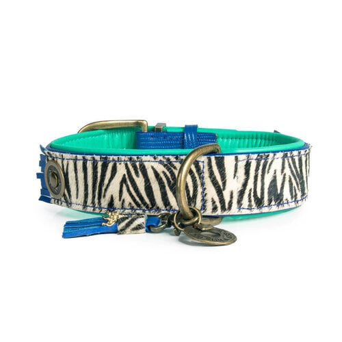 Dandy hondenhalsband - Kobaltblauw en Zebra-print