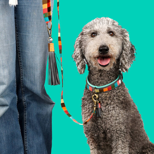 MR & MRS SMITH DOG LEASH