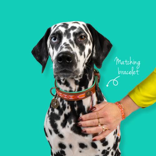 SWEET MAE KRALEN ARMBAND SWEET MAE KRALEN ARMBAND