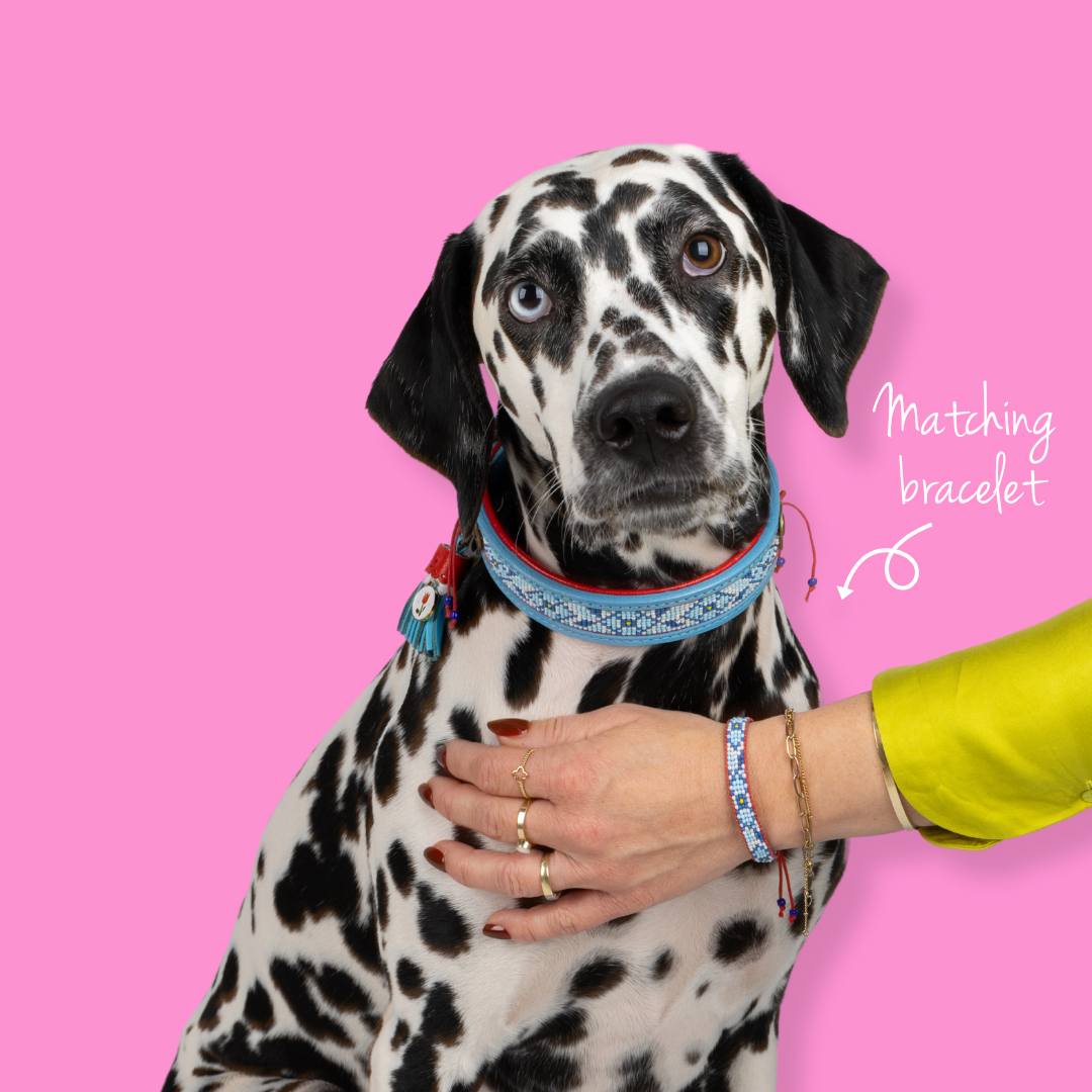 Dog with a Mission Dutchie beads bracelet Dog with a Mission